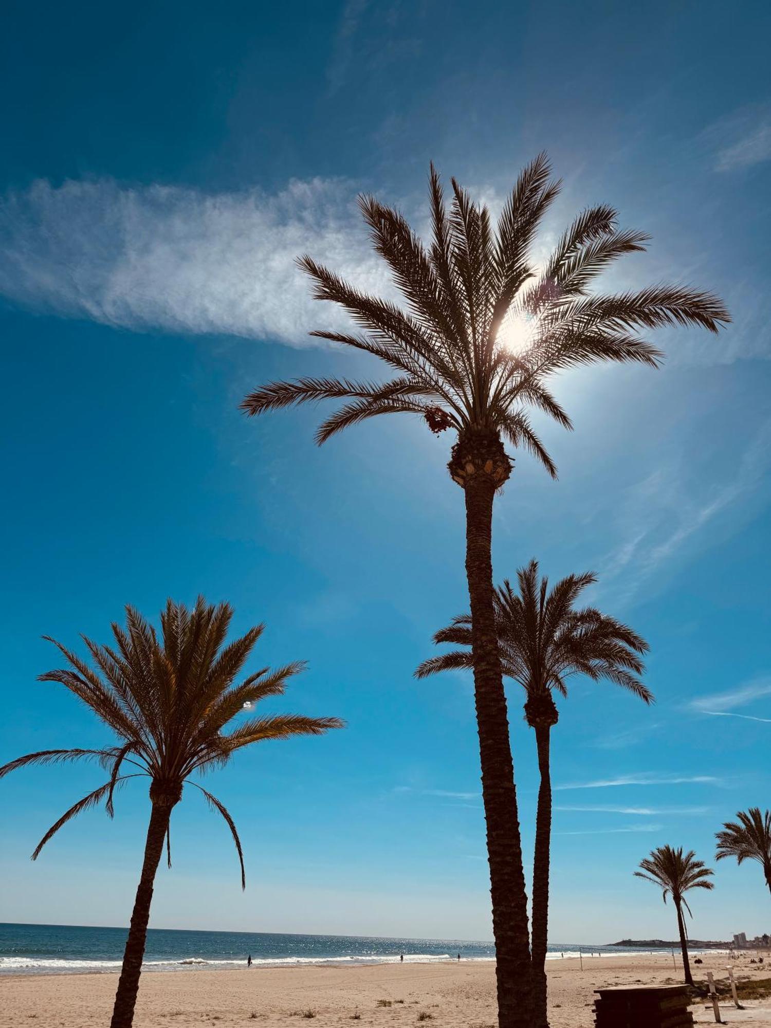 Appartement Vistas Al Mar, Piscina Y Playa Alicante